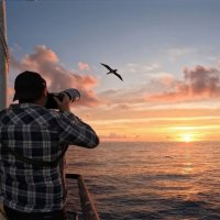2 :: Alex 