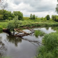 Речка Солодча :: Сергей Цветков