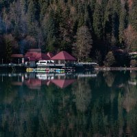 о. Рица :: Татьяна Панчешная