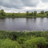 Речка Солотча :: Сергей Цветков