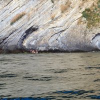 Смелые девчата :: Леонид 