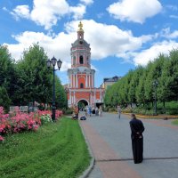 Донской монастырь :: Константин Анисимов