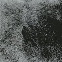 буря :: Николай Семёнов