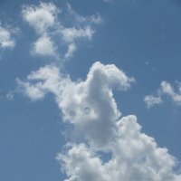 Наблюдает за нами :: Людмила Смородинская