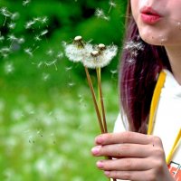 Одуванчики. :: Михаил К