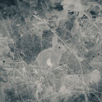 без названия :: fogmeadowww m
