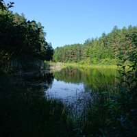 Лесное озеро :: Dar(k) Life Лесное озеро :: Dar(k) Life