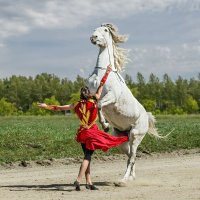 Конь :: SanSan 