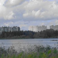 Озеро Пеньковое, Калининград :: Рита Симонова Озеро Пеньковое, Калининград :: Рита Симонова