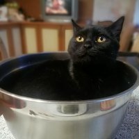 Удивление. :: Михаил Столяров