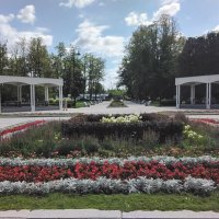 Москва. Парк Северного речного вокзала :: Дмитрий Никитин