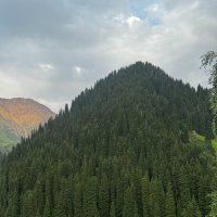 в горах Алматы :: Savayr 