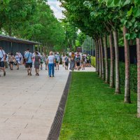 Город Краснодар, парк Галицкого :: Игорь Сикорский