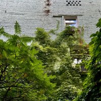 Зеленые окна) :: Любовь Зеленые окна) :: Любовь