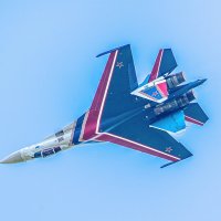 Вива авиа Новосибирск 2026 :: Михаил Измайлов