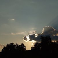 Природа :: Андрей Лукьянов