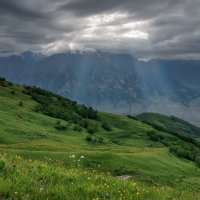Кавказ