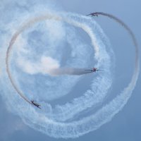 Вива авиа Новосибирск 2026
