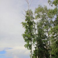 Волжский берег :: Евгений Корьевщиков