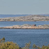 В северных морях :: Alexandеr P