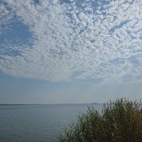 вид у охладителя
