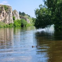 речной пейзаж