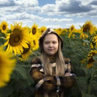 В подсолнухах :: Леонид Соснин