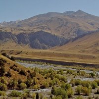 АЮТОР ВПАДАЕТ В ОЙГАИНГ.