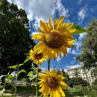 2метра красоты