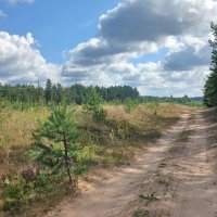 Август :: Наталья Герасимова