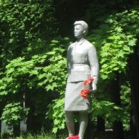 Цветы народноц героине :: Дмитрий Никитин