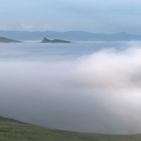 Просыпается природа