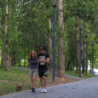 Прогулки в Летнем Парке