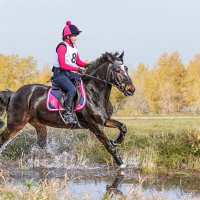 Кросс