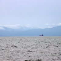 В Амурском заливе