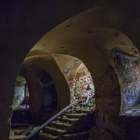 В поисках прохлады... :: Наталья Rosenwasser