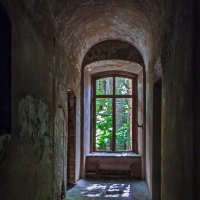 Вид из окна :: Наталья Rosenwasser