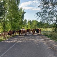 Солдатское ущелье.