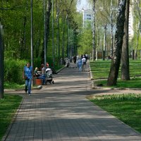 Кузьминский парк