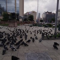 Собрались на завтрак.