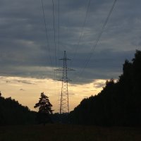 Вечер в Лосином острове