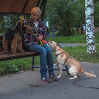 Повседневная жизнь