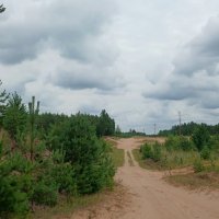 Дороги