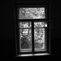Повседневная жизнь