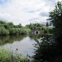 Екатеринбург :: Елена Шаламова