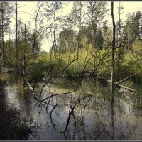 Пейзаж