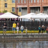 Озеро в городском парке
