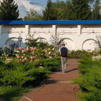 Монастырская стена :: Galina Solovova Монастырская стена :: Galina Solovova