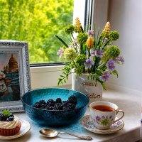 Pro ежевику на подоконнике : ) :: Alisia La DEMA