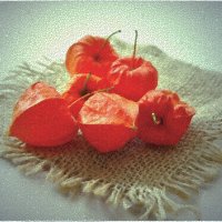 ДАР ЛЕСА... :: Elvira E. 